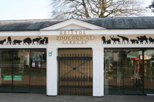Bristol Zoo